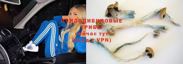 марки nbome Покачи