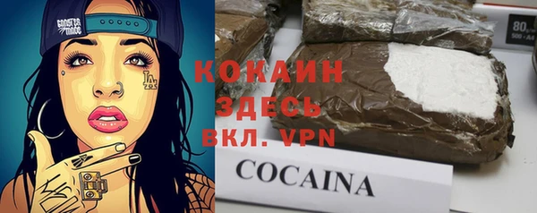 твердый Пестово